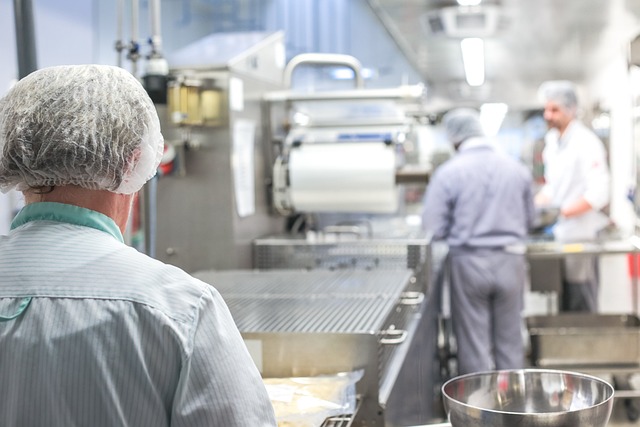 big kitchen, kitchen work, kitchen, production, peel potatoes, gastronomy, preparation, food, catering, caterers, canteen kitchen, meals, cooking, cook, hair net, production, production, catering, catering, catering, catering, catering, hair net, hair net